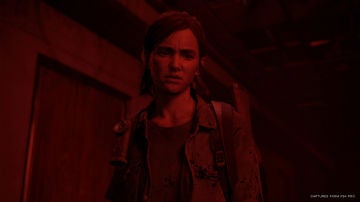 The Last of Us 2 The Last of Us 2