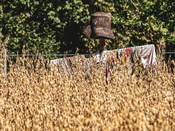 Espantapájaros Espantapájaros