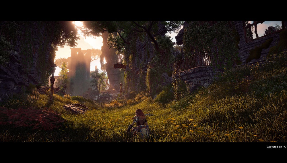 Horizon Zero Dawn Complete Edition