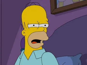 Homer Simpson Homer Simpson