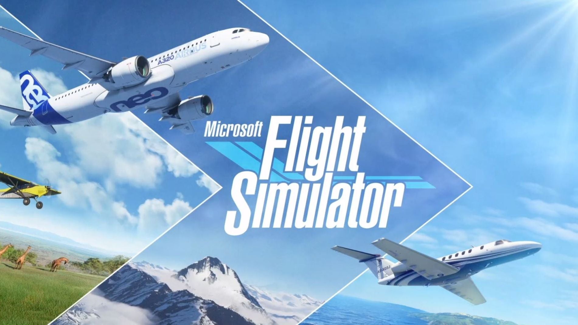Microsoft Flight Simulator