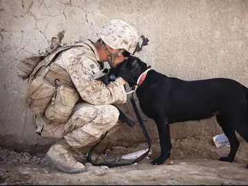 Soldado con su perro Soldado con su perro