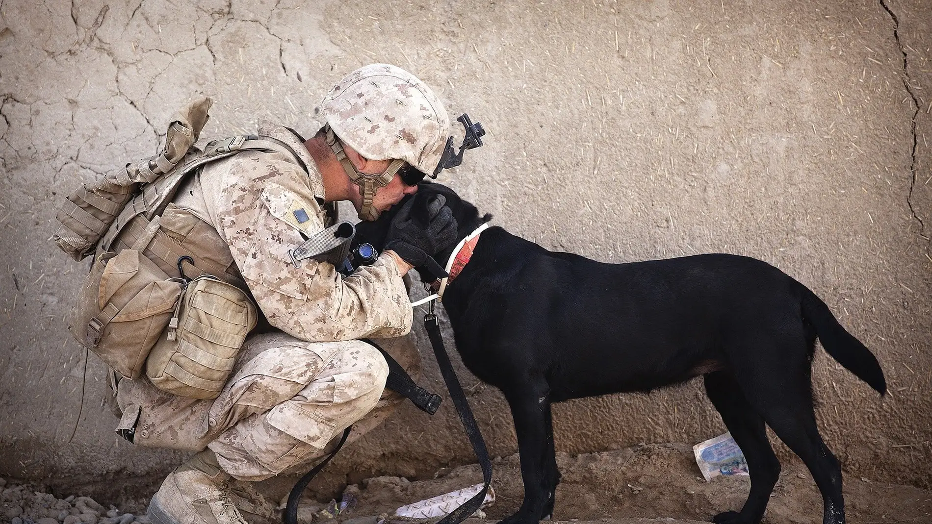 Soldado con su perro