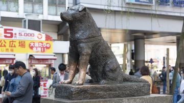 Estatua de Hachiko