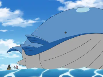 Wailord en el anime de Pokémon Wailord en el anime de Pokémon
