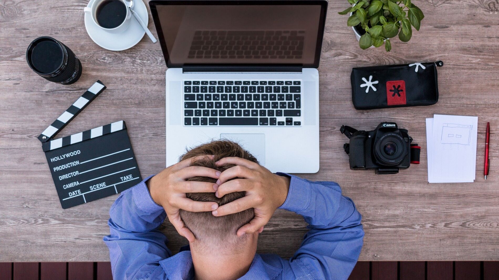 Creador de contenido