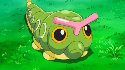Caterpie Caterpie