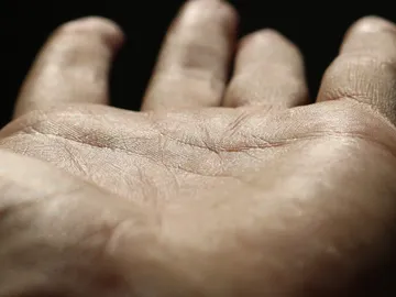 Líneas de la mano Líneas de la mano