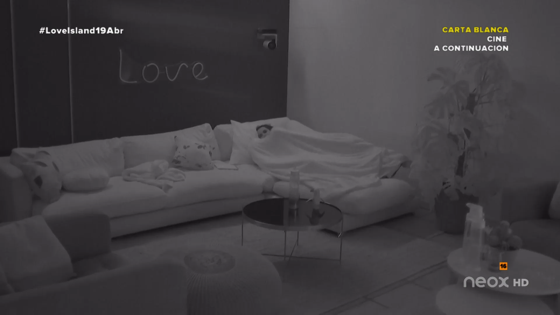 sofa sofa