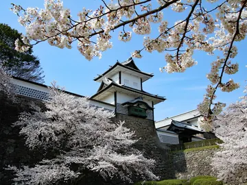 Castillo Japonés Castillo Japonés