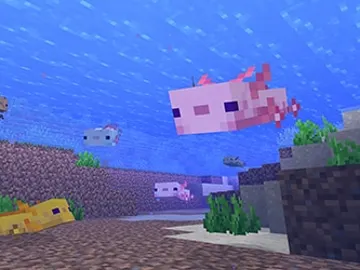 Minecraft Minecraft