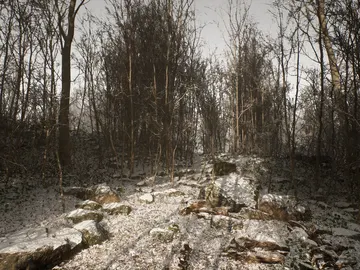 Abandoned Abandoned