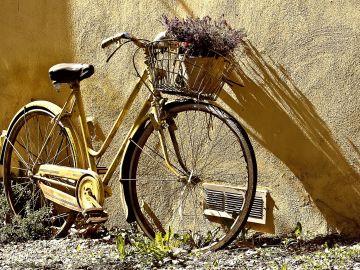 Abandona su bicicleta durante meses y se encuentra el regalo más inesperado en la cesta