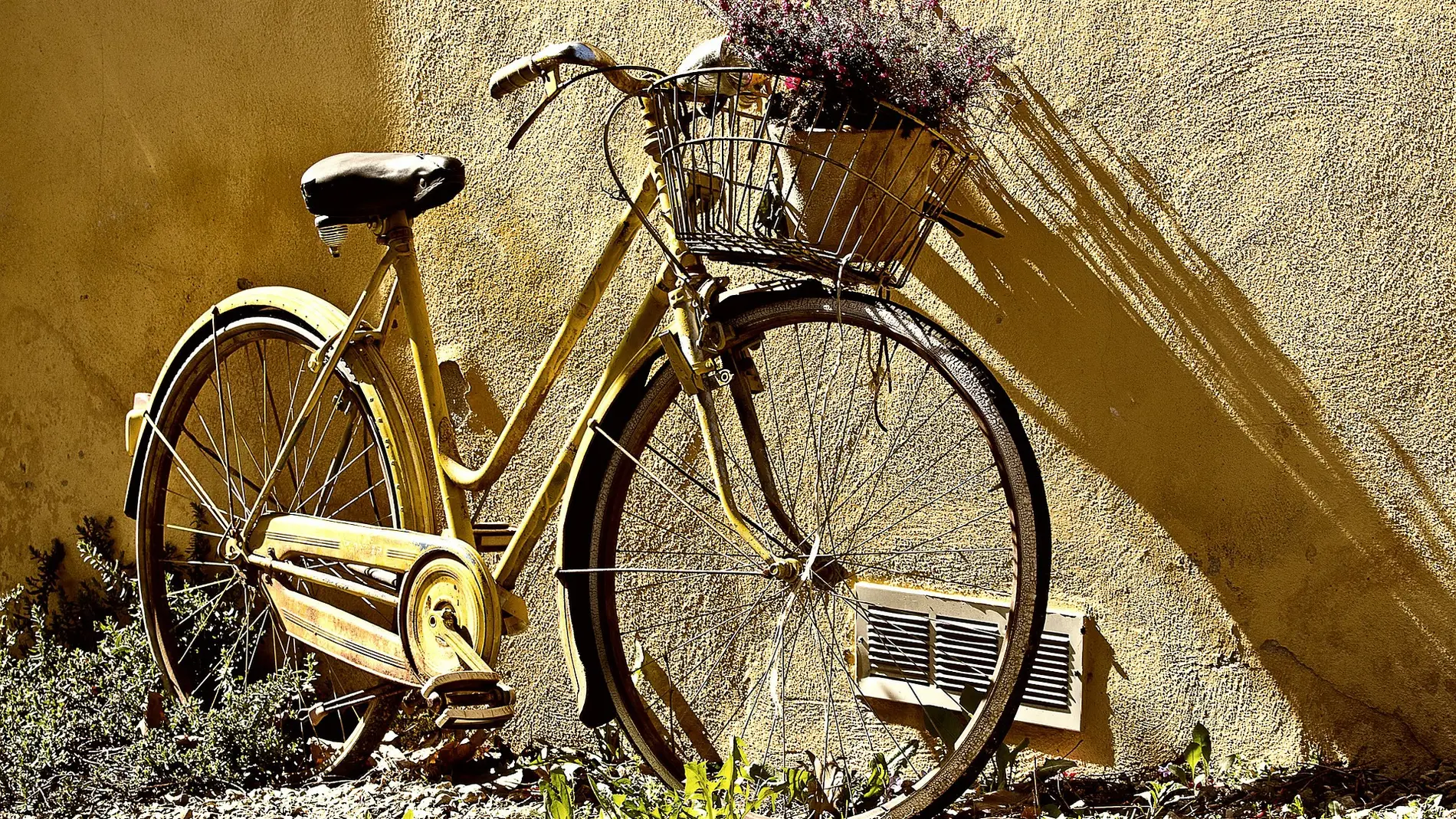 Abandona su bicicleta durante meses y se encuentra el regalo más inesperado en la cesta