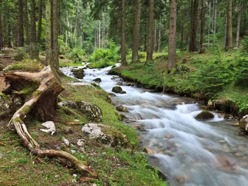 ¡Ni sacado del anime! Encuentra una baraja de cartas muy codiciada de la forma más sorprendente ¡Ni sacado del anime! Encuentra una baraja de cartas muy codiciada de la forma más sorprendente