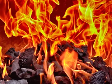 Fuego Fuego