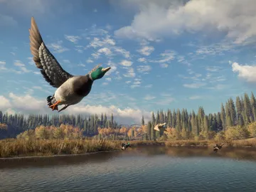 theHunter: Call of the Wild theHunter: Call of the Wild