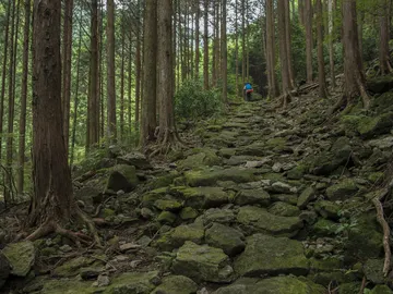 Se rompe una piedra que tendría un demonio en su interior y lo comparan con 'Naruto' Se rompe una piedra que tendría un demonio en su interior y lo comparan con 'Naruto'