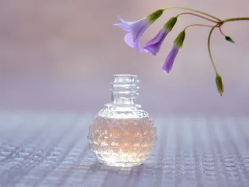 Perfume Perfume