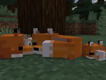 Zorros en Minecraft Zorros en Minecraft