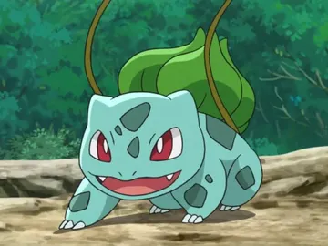 Bulbasur  Bulbasur