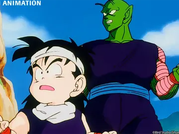 Dragon Ball Dragon Ball