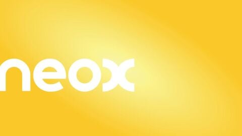 Neox (1,8%) despunta en Target Comercial y J&oacute;venes