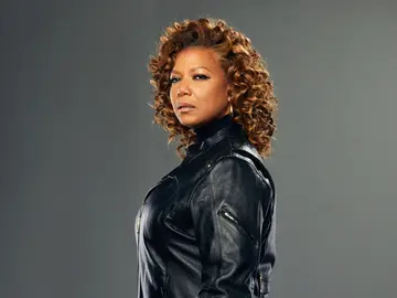 The Equalizer The Equalizer