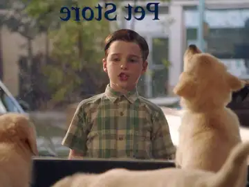 Sheldon intenta superar su fobia a los perros 