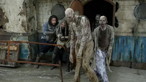 The Walking Dead The Walking Dead